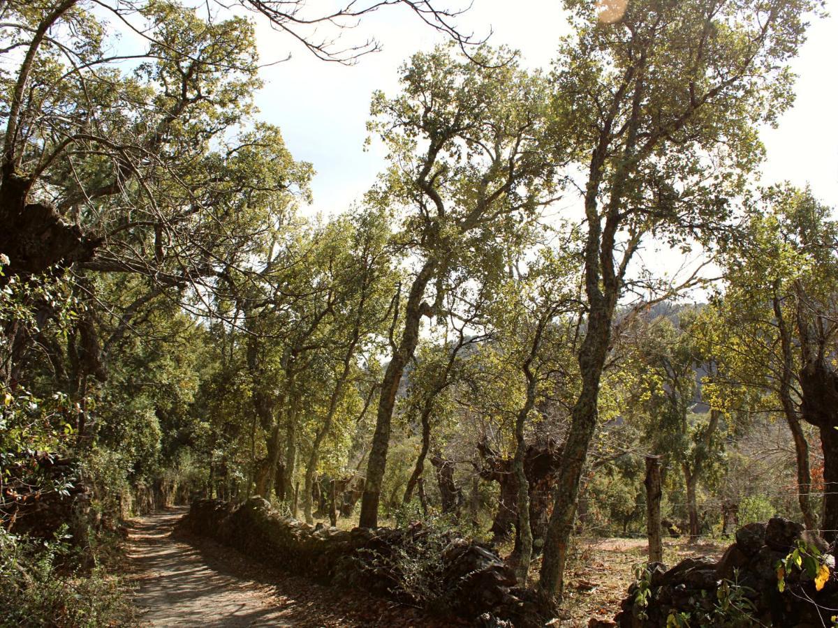 Penzion El Rincon De Marcelino Cortelazor Exteriér fotografie